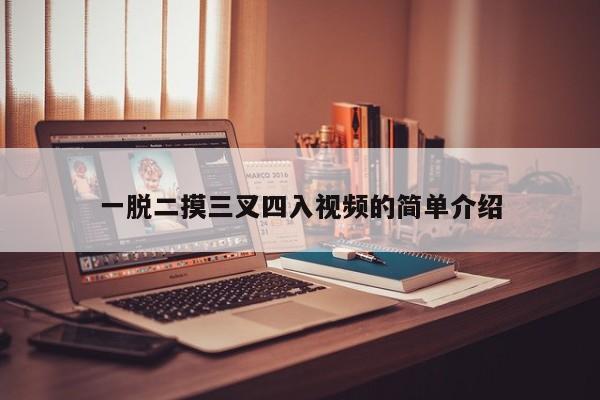 一脱二摸三叉四入视频的简单介绍