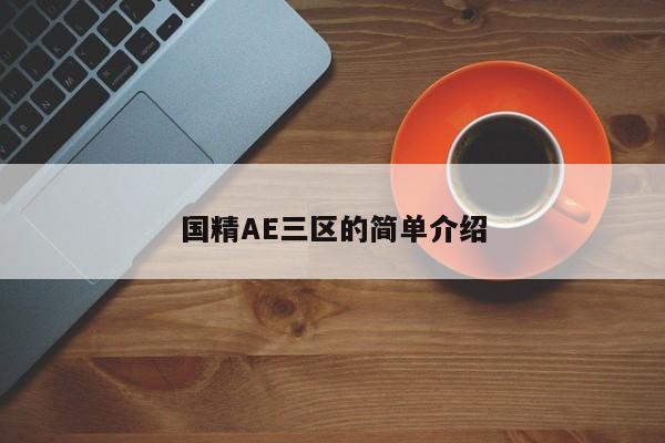 国精AE三区的简单介绍