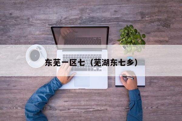 东芜一区七(芜湖东七乡)