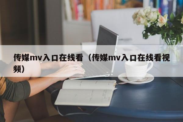 传媒mv入口在线看(传媒mv入口在线看视频)